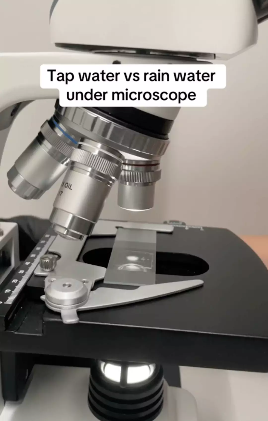 Microscope Water Square Scientist puts tap water and rain water under microscope and it's ...