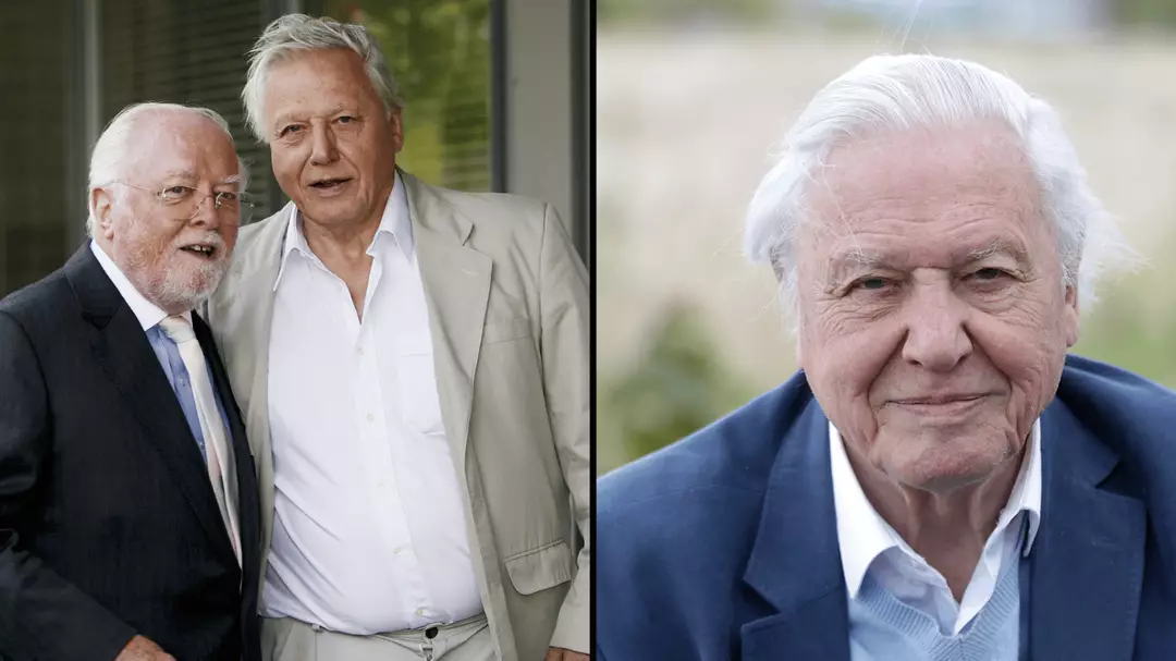 David Attenborough Had Regret Over Famous Brother Richard s Career david-attenborough-had-regret-over-famous-brother-richard-s-career