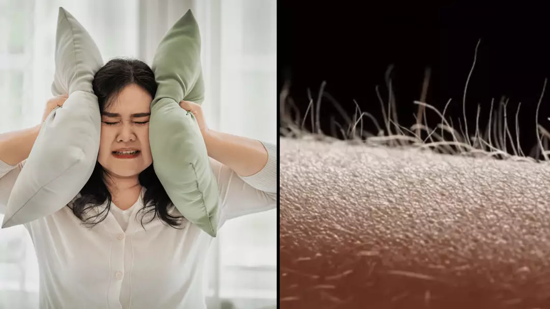 Isophobic Tests TikTok test to see if you have misophonia phobia which has people’s ...