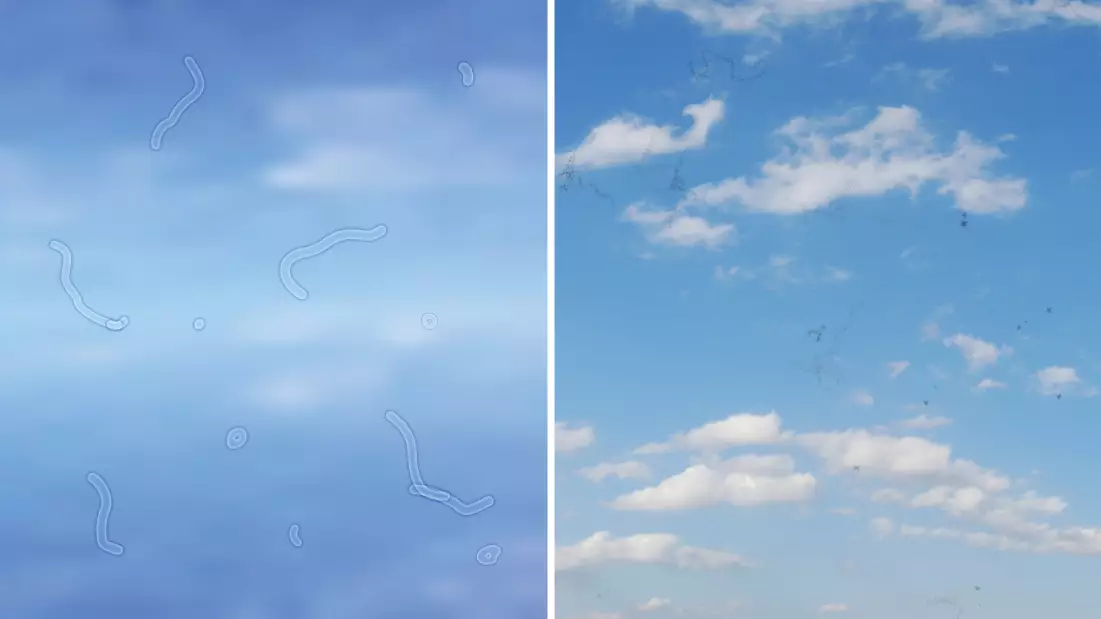 Eye doctor reveals what to do if you start seeing ‘floaters’