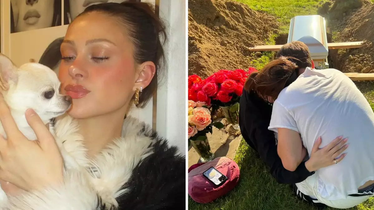 Nicola Peltz defended as heartbreaking post about death of 'healthy' dog following visit to groomers - Celebrity - Tyla