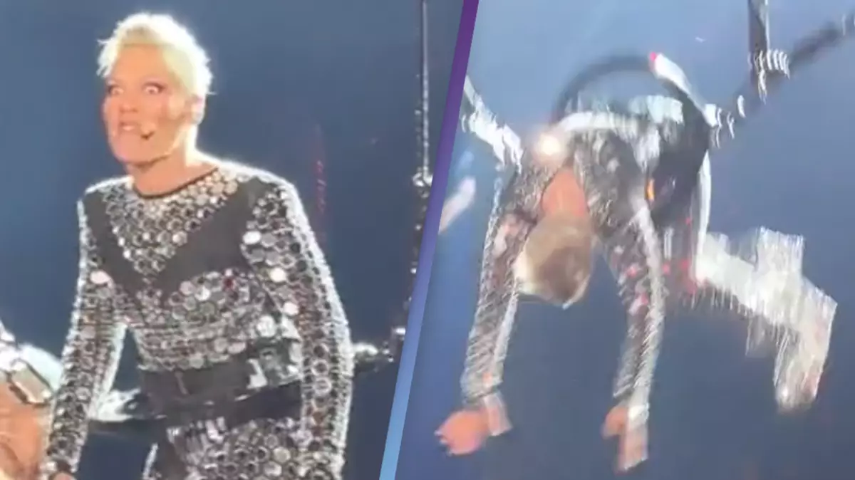 P!nk fans are losing it over her flying around at concert