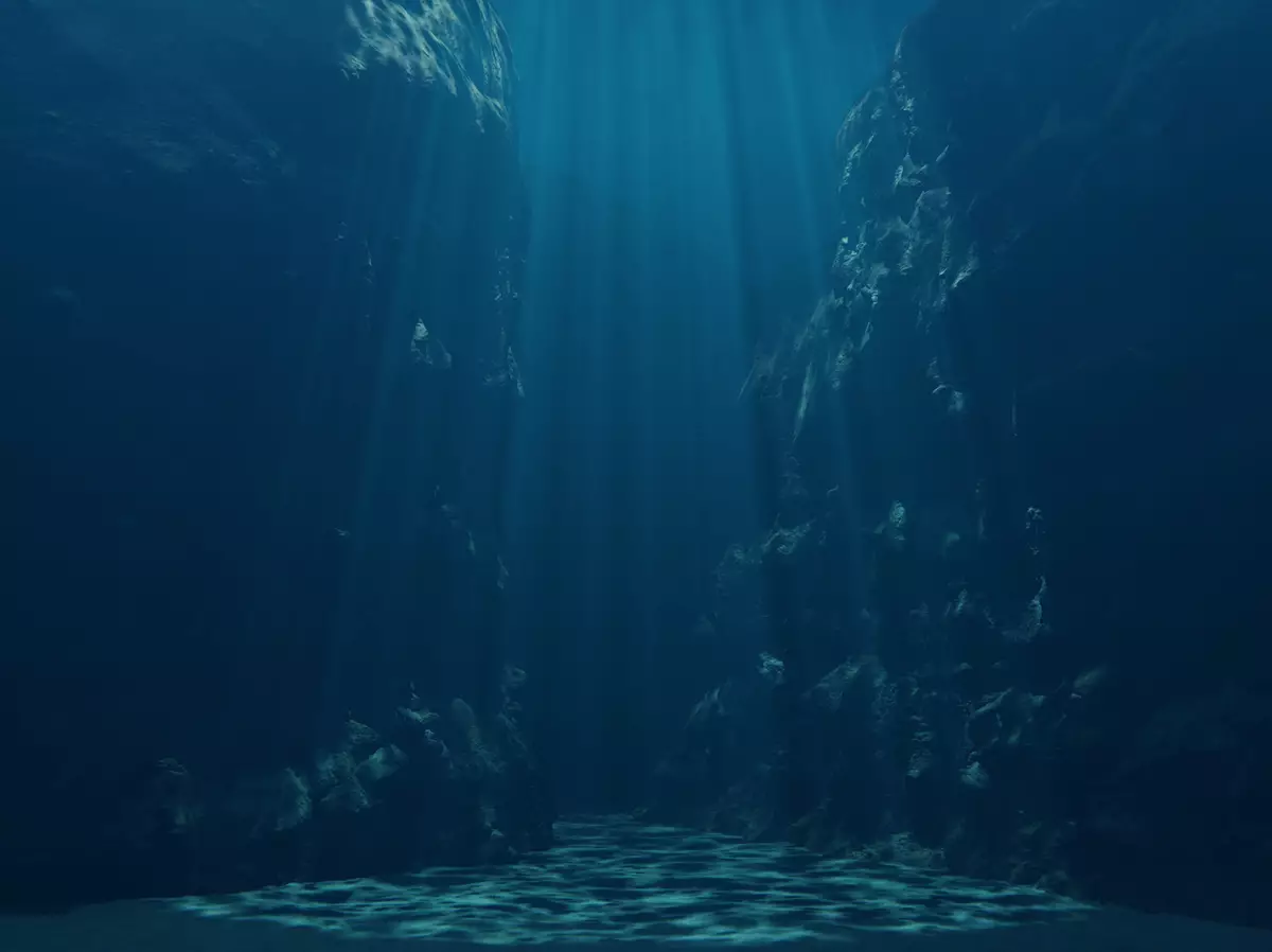 Reference Deep Ocean Scientists discover beer bottle at the deepest point of the ocean