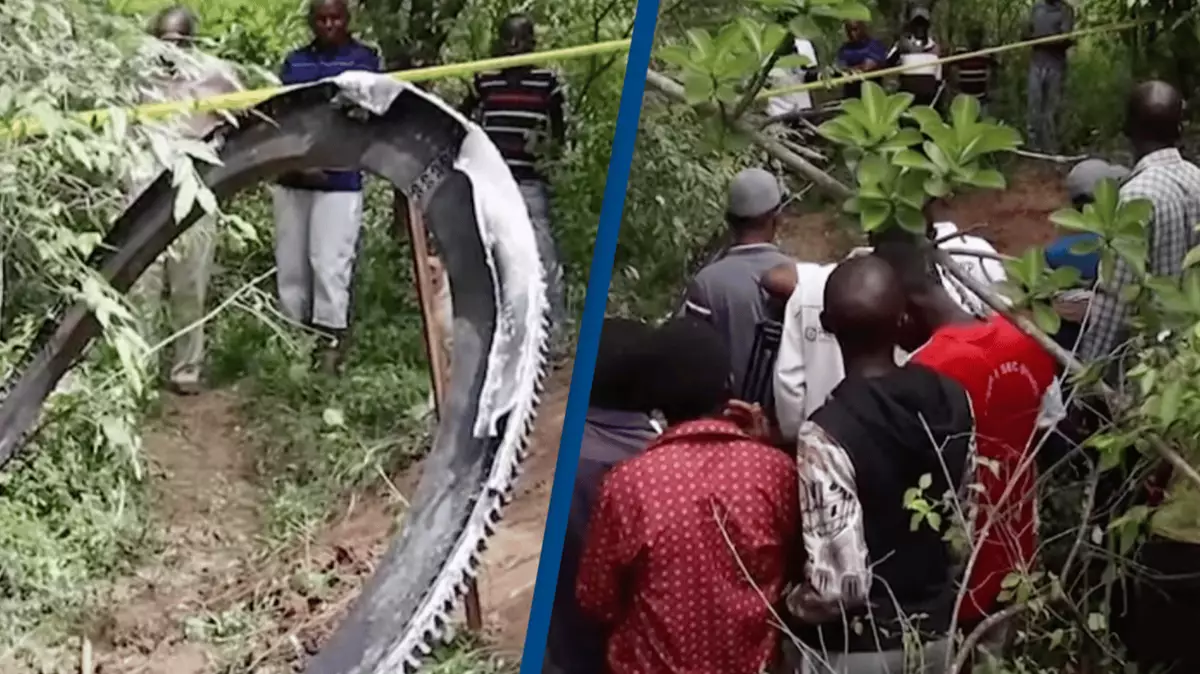 Bizarre 'space debris' falls on village leaving people terrified it ...