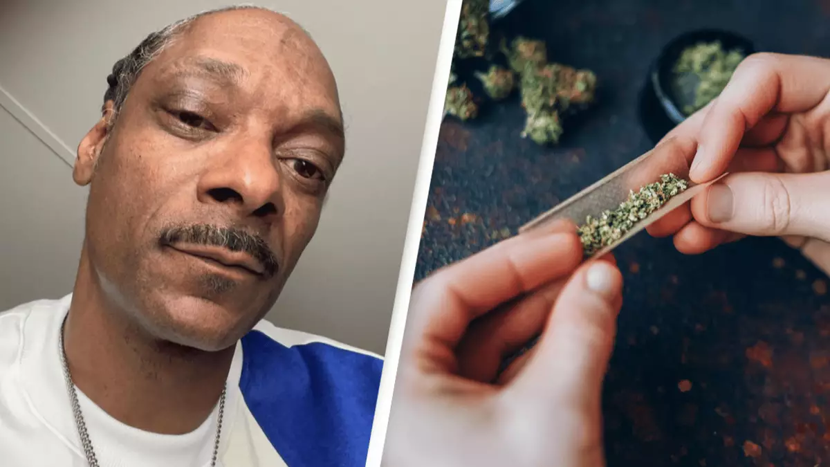 Canibis Rapper Symptoms of cannabis withdrawal as Snoop Dogg quits smoking weed