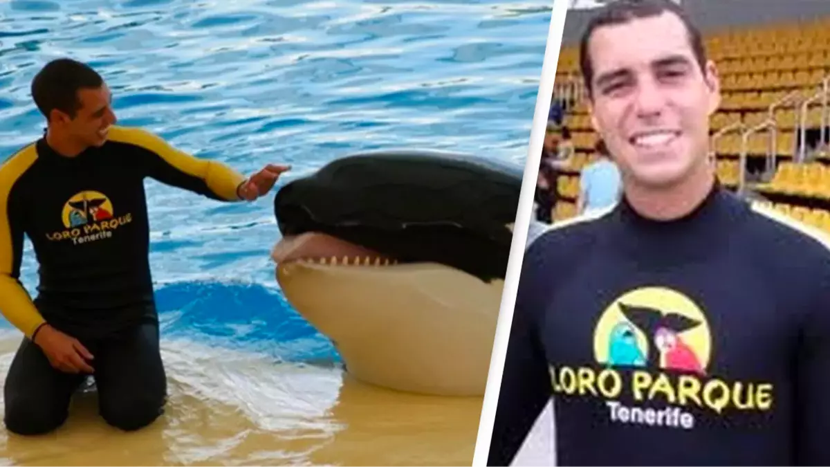 Horrific final moments of SeaWorld trainer before killer whale 'tore organs'