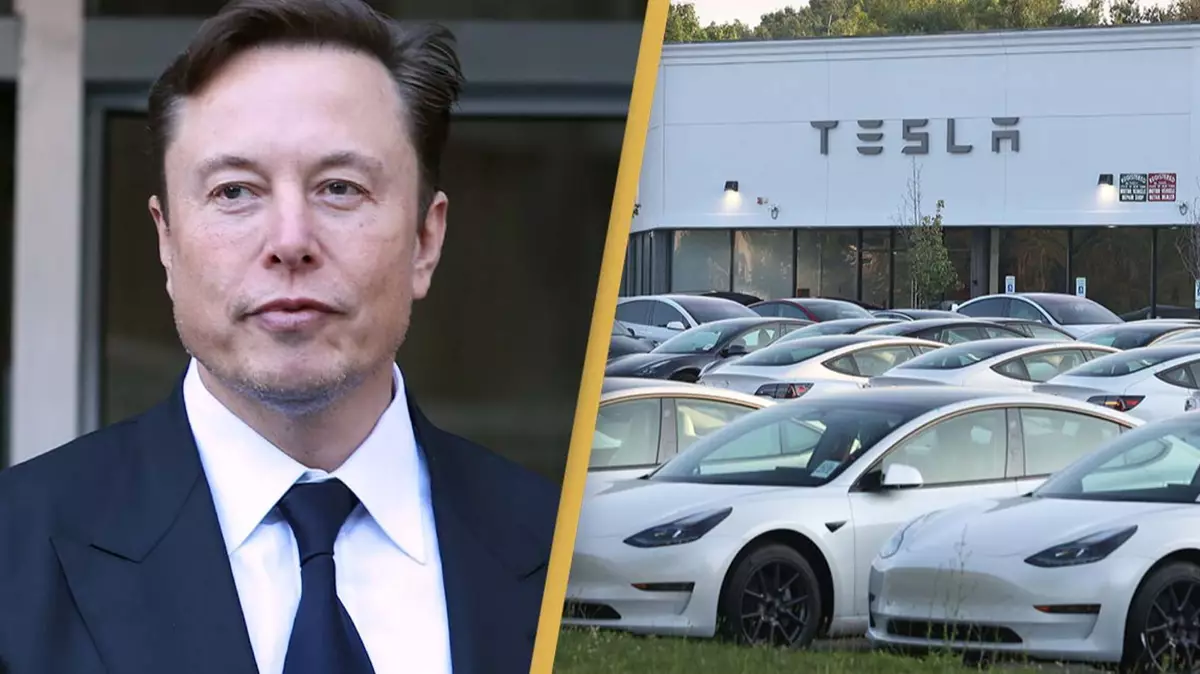 Tesla sales are falling rapidly after Elon Musk's continued endorsements of the far right - US News - UNILAD