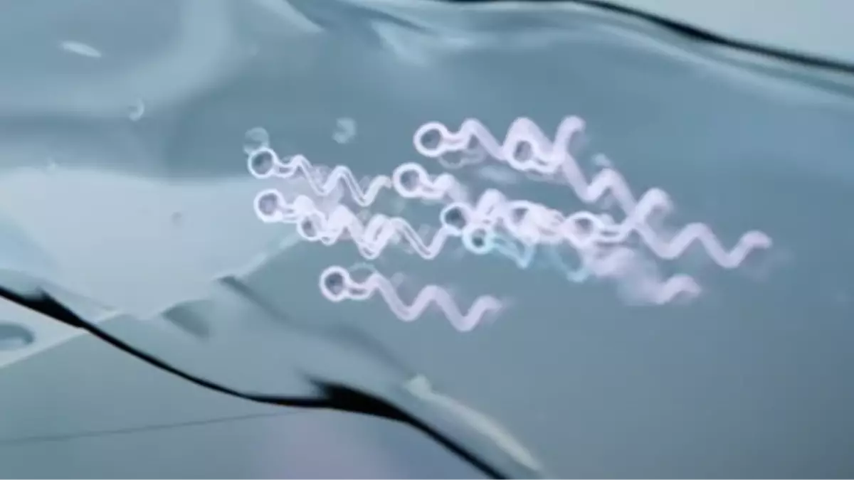 World-first sperm race to come to Los Angeles and the creators have revealed how it will work - US News - UNILAD