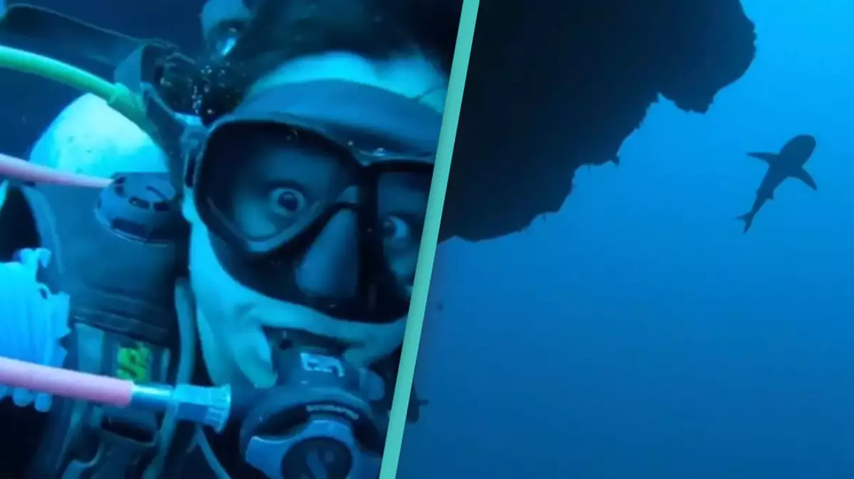 TikTok user shares terrifying footage of the Great Blue Hole revealing the dangerous reality of diving into it