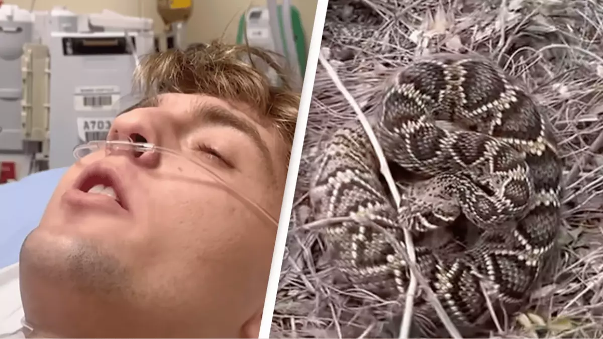 Terrifying moment influencer livestreams himself being bitten by snake ...