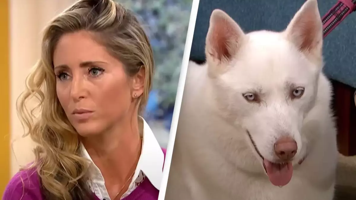 Lady who insisted her pet dog was vegetarian proved mistaken in ‘seconds’ on dwell Tv set