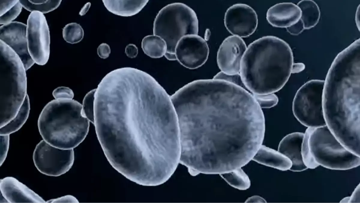 Shocking simulation shows exactly what happens to your body when you ...