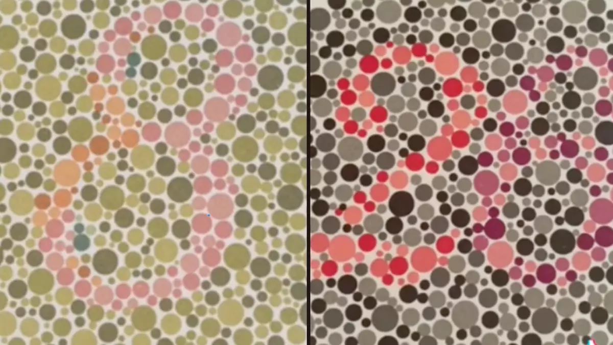 Test to see if you’re colour blind has people realising they’re ...