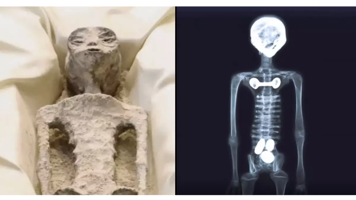 Alien Ct Scan Disturbing 'truth' behind 'alien bodies' unveiled to Mexican government ...