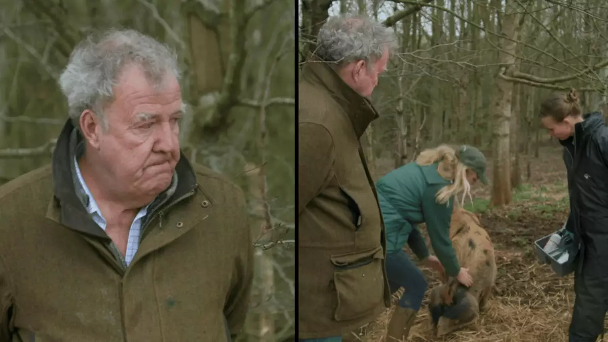 Clarkson's Farm explains why much-loved animal was put down as viewer says they 'left her to die'