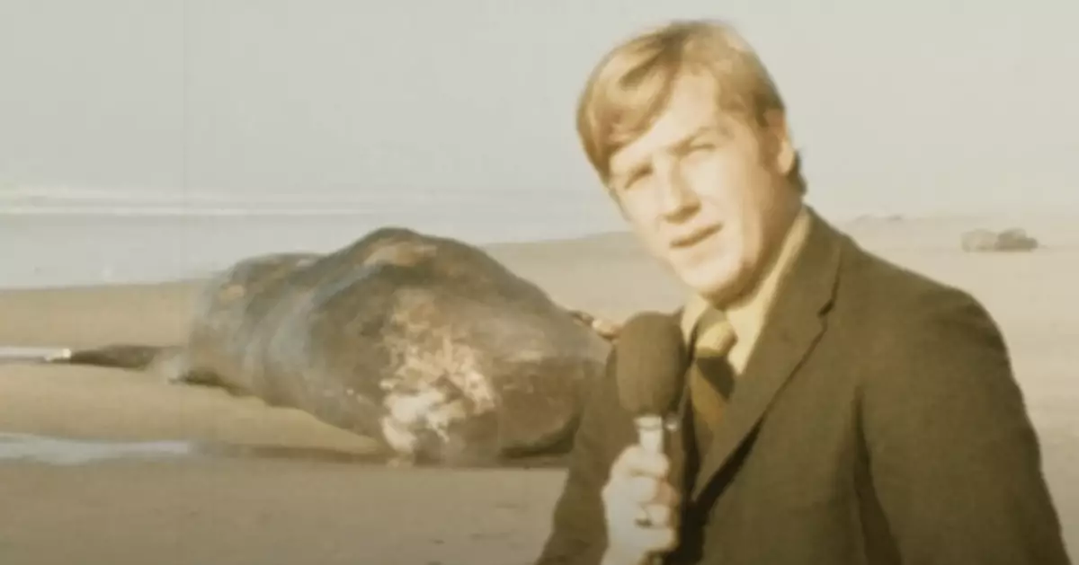 Exploding whale incident is still one of most bizarre spectacles ever ...
