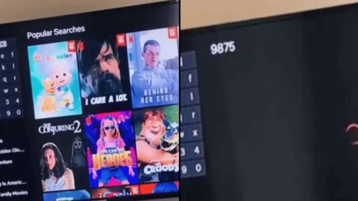 Netflix viewers say life has changed for the better after typing in ...