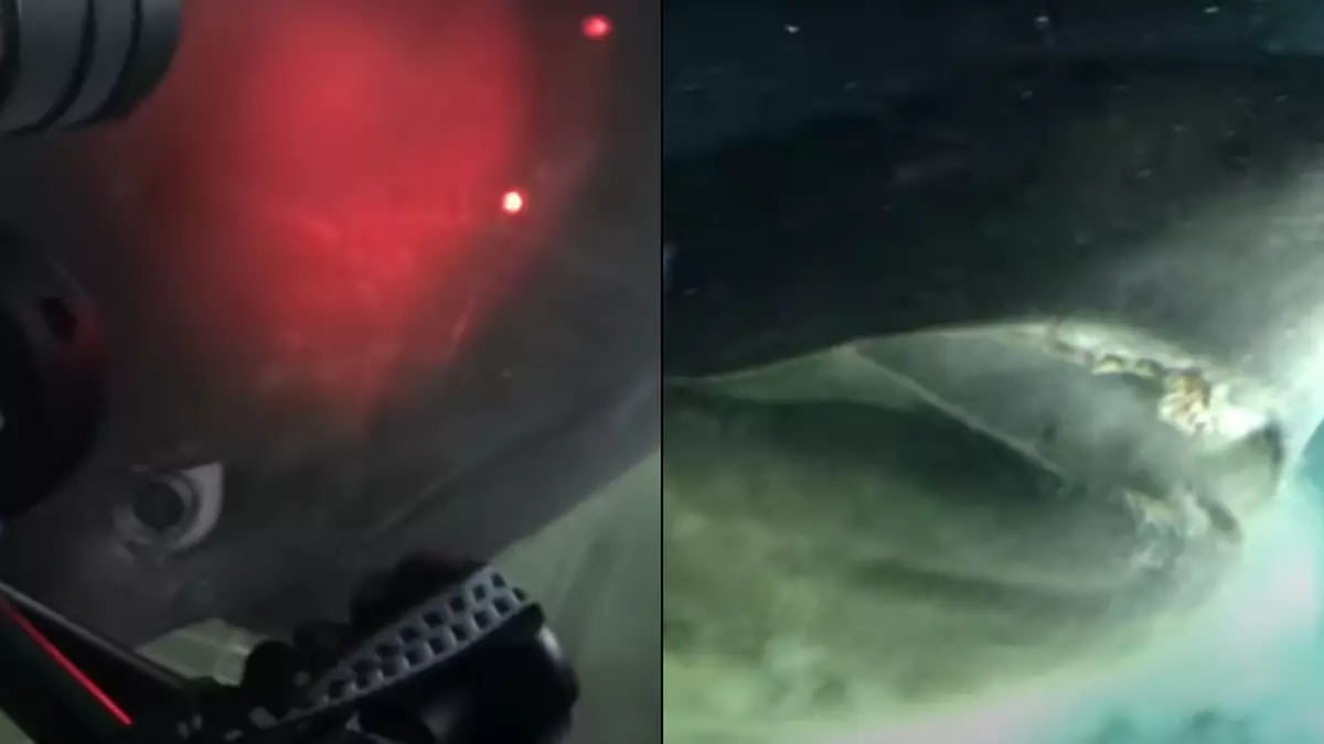 Sub on ocean floor comes into contact with deep-sea monster that predates dinosaurs in mind-blowing footage