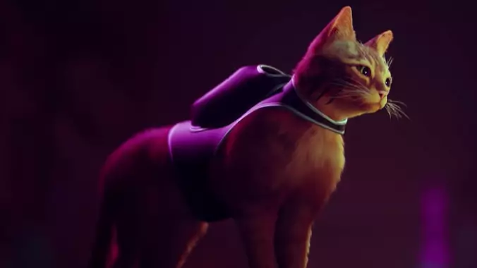 New ps5 hotsell cat game
