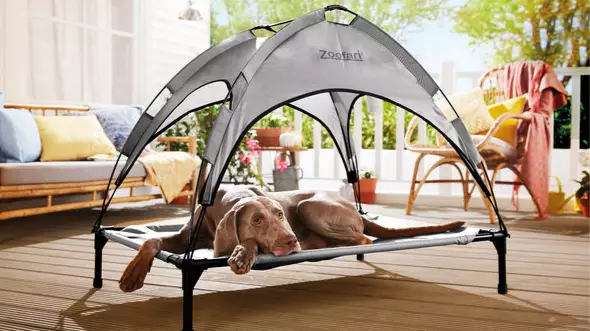 Lidl Is Selling Sun Loungers For Cats And Dogs This Summer