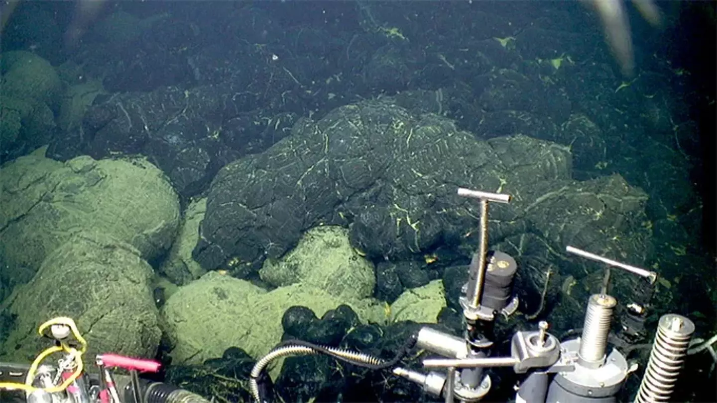The edge of the 2015 lava flow at Axial Seamount (the dark lava at right) where it overlies older sedimented lavas (lower left) (Bill Chadwick/Oregon State University, ROV Jason / Woods Hole Oceanographic Institution)
