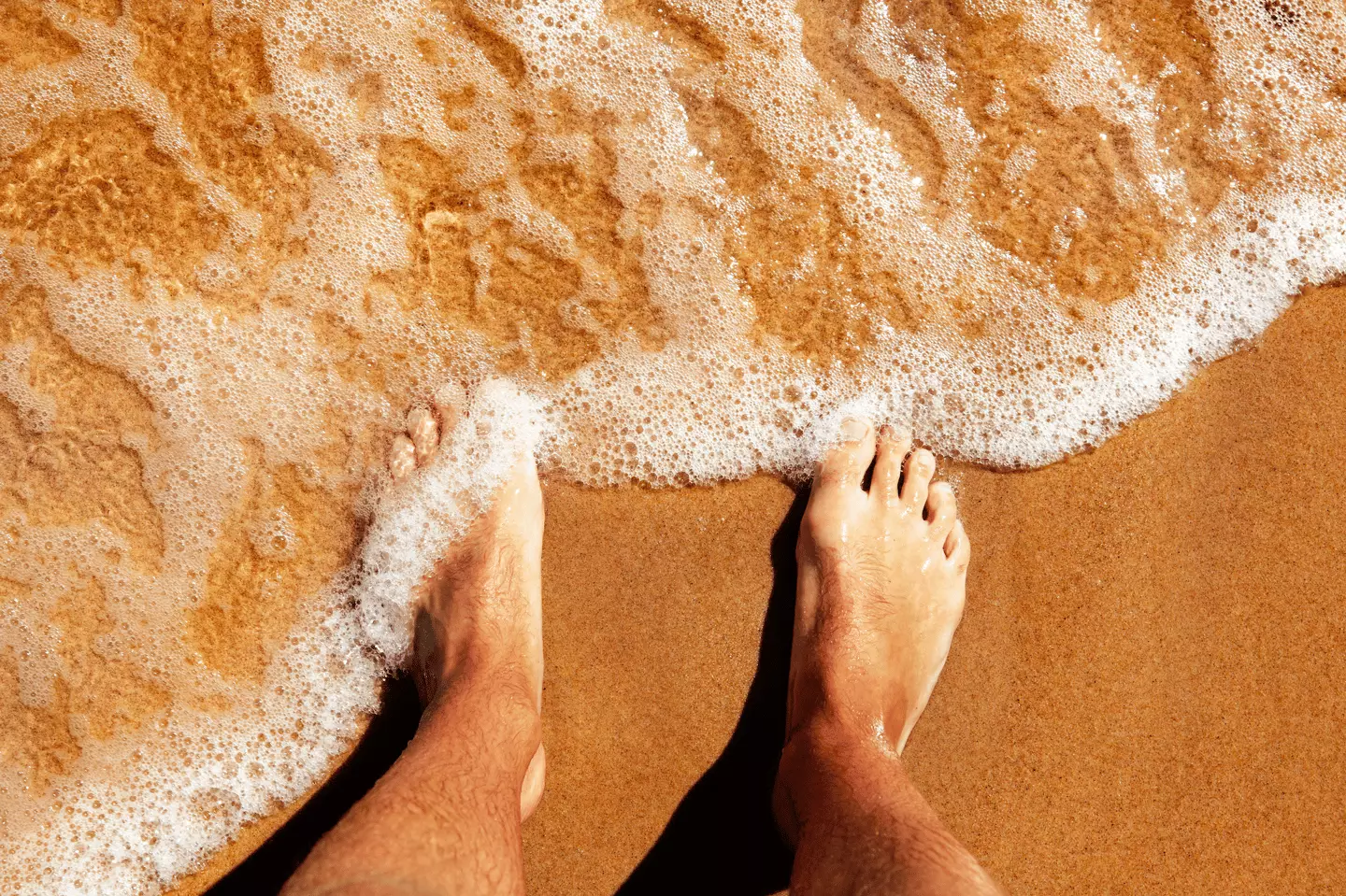Mystery of why human feet keep washing ashore in the US and Canada took ...