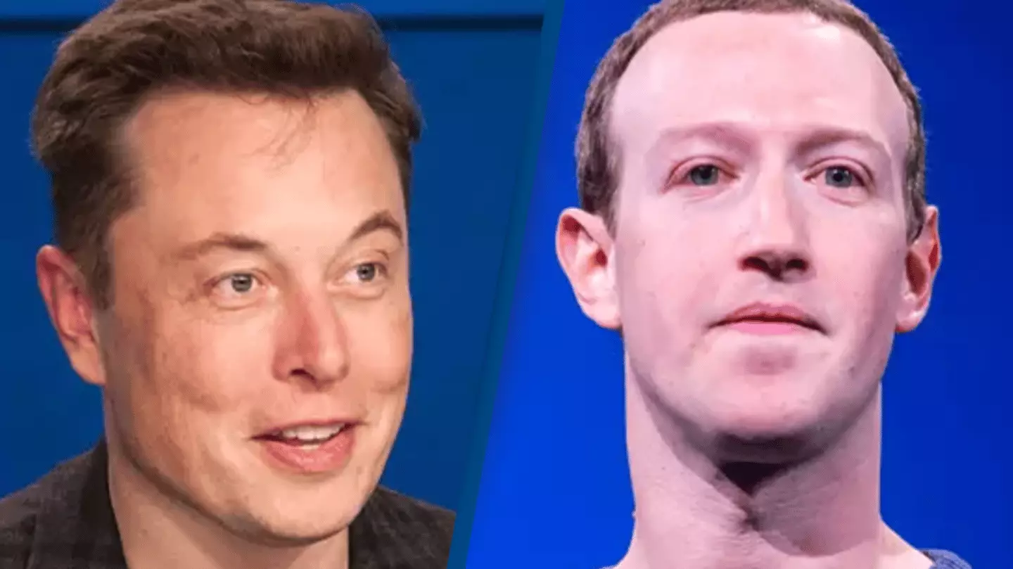 Elon Musk To Start Training For Cage Match Against Mark Zuckerberg If elon-musk-to-start-training-for-cage-match-against-mark-zuckerberg-if