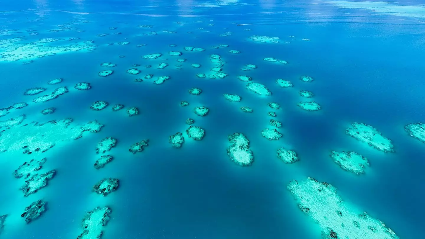 Scientist explains ‘truth’ behind Bermuda Triangle after mystery is ...