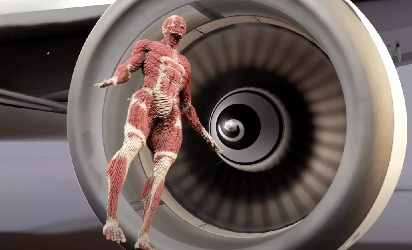 Jet Engine Ingested Horrifying simulation shows what would happen if you were sucked into a ...