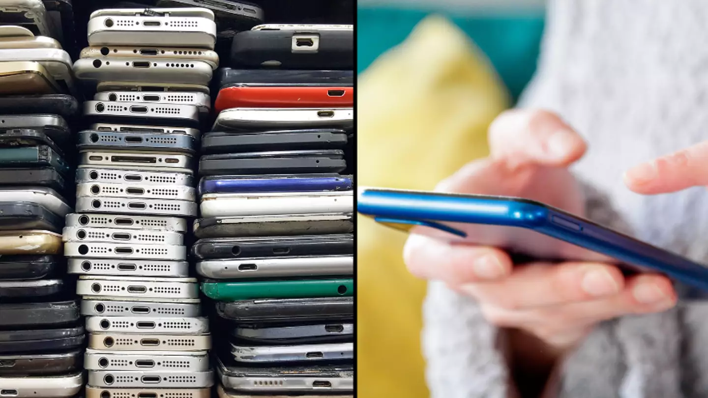 What actually happens when iPhones are traded back to Apple What actually happens when iPhones are traded back to Apple
