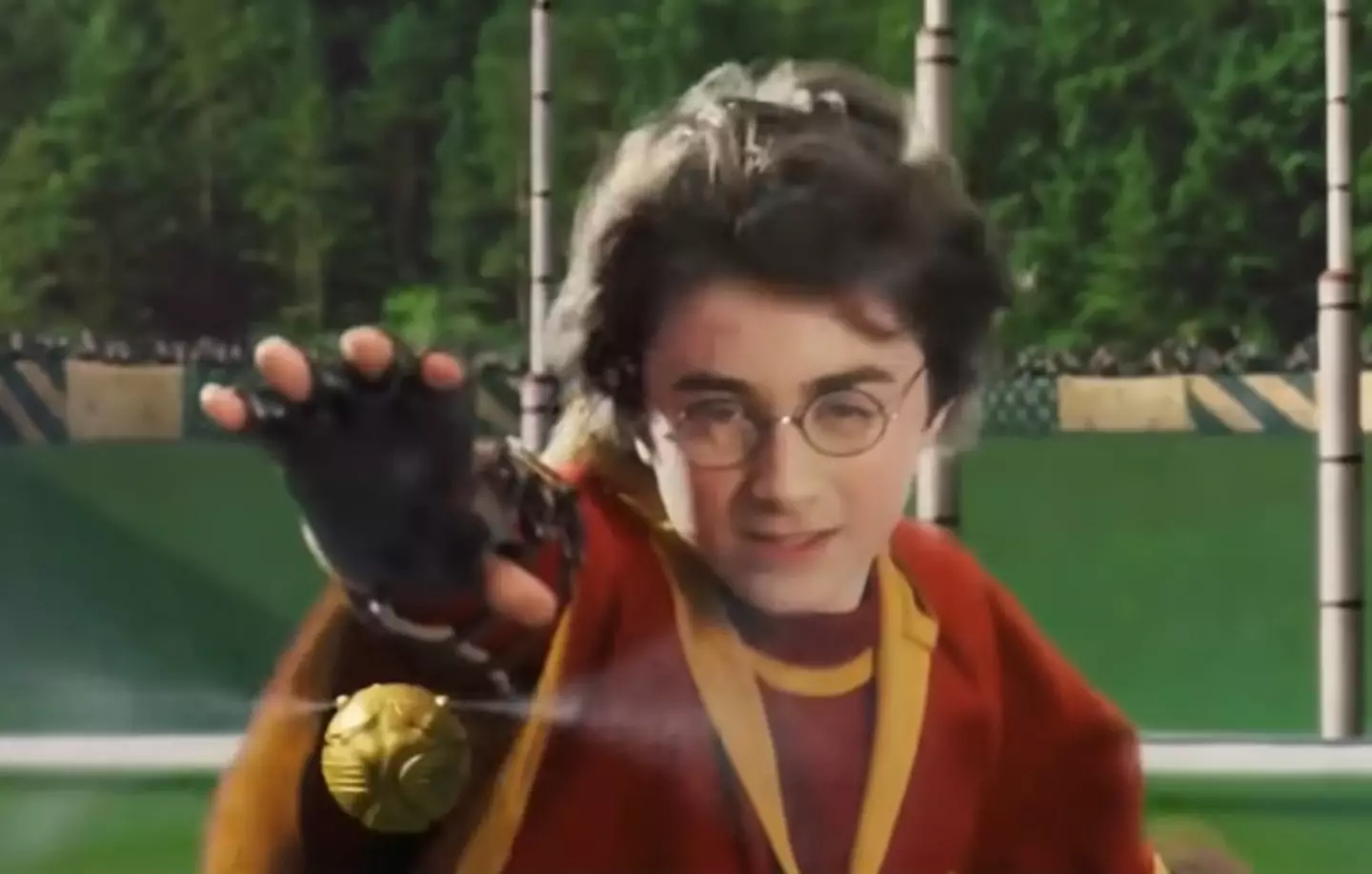 Quidish Numbers Harry Potter’s Quidditch record leaves viewers stunned after someone ...
