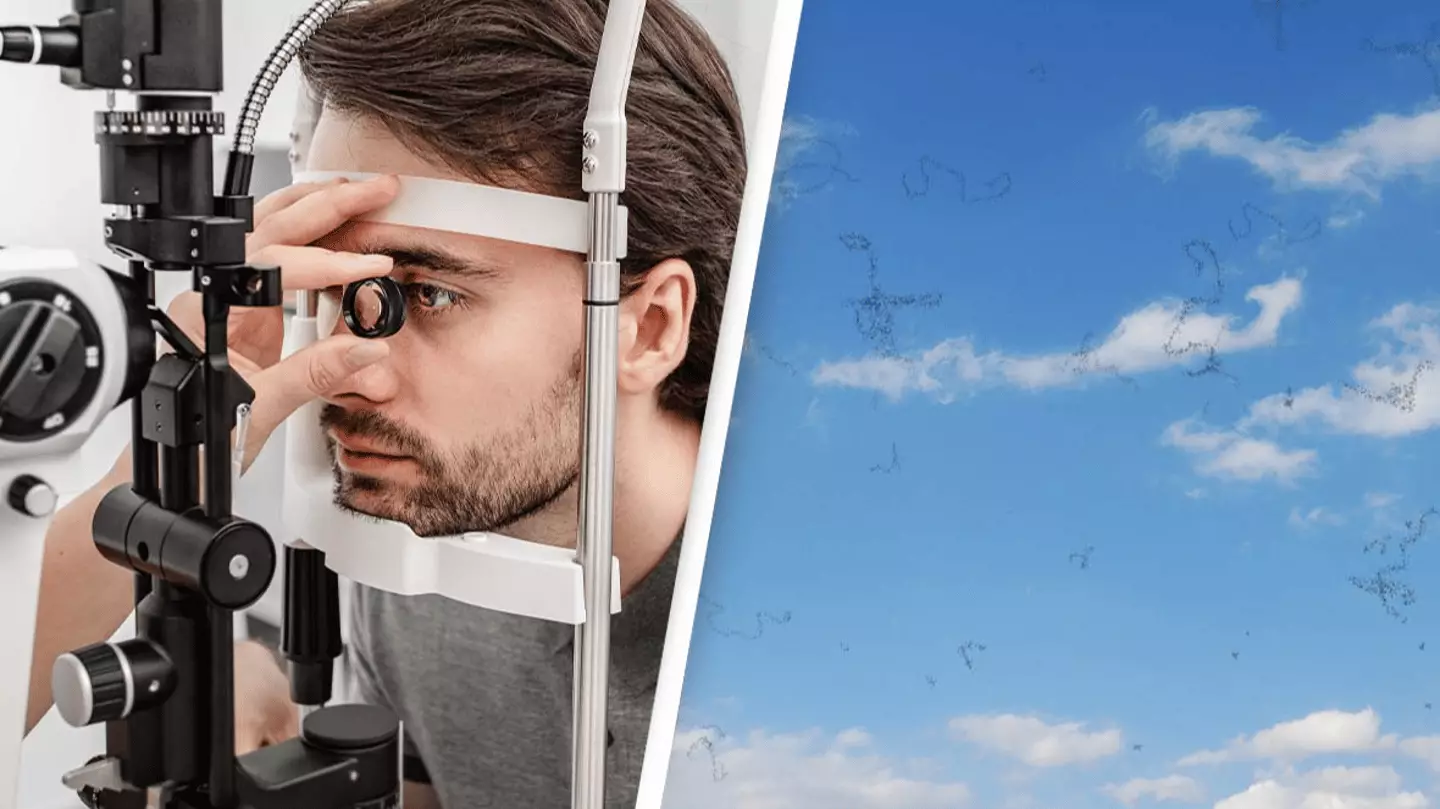 Microscope Floaters Experts reveals what to do if you start seeing 'floaters' and why you ...