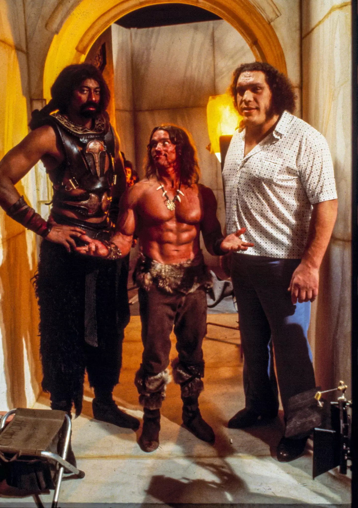 Arnold Schwarzenegger 'looks like a child' in picture between Wilt ...