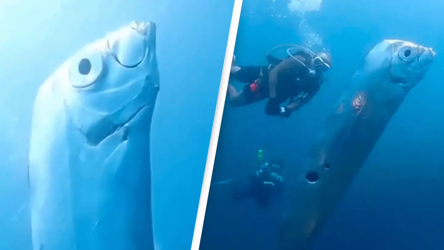 People left horrified after divers discover giant 'Doomsday Fish'