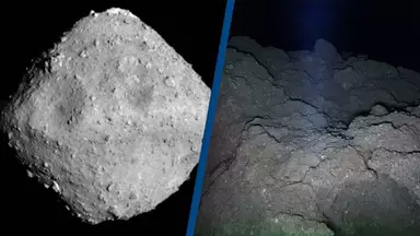 Incredibly clear picture taken of asteroid in space has people creeped out for same reason