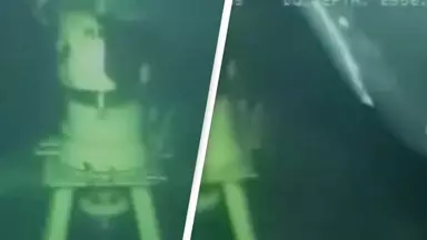 Scientists get unexpected deep sea visitor when inspecting gas line 3,000ft underwater