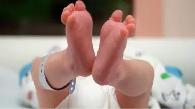 Getty Images/DIDIER PALLAGES