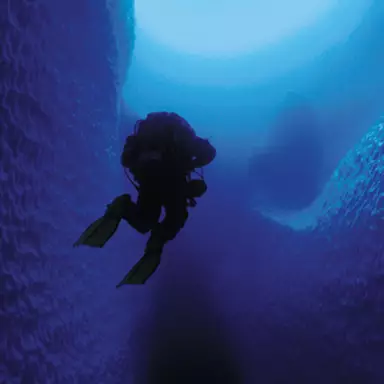 First diver to explore inside an iceberg shares terrifying experience of almost not making it back out alive