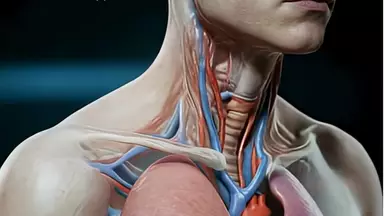 Youtube/elevatemindhq