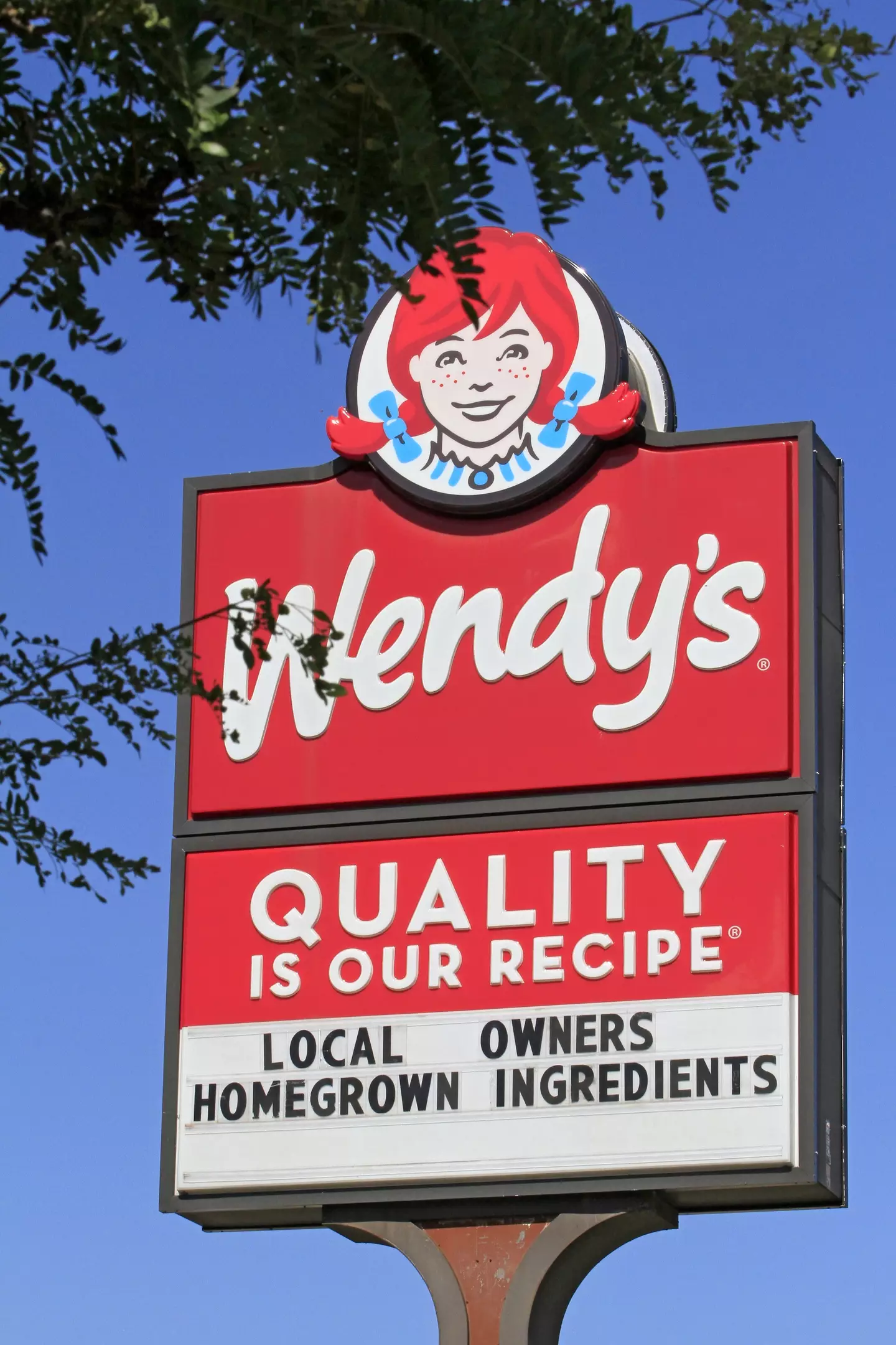 Up to 350 Wendy's restaurants in the United States are set to close (Mike Campbell/NurPhoto via Getty Images)