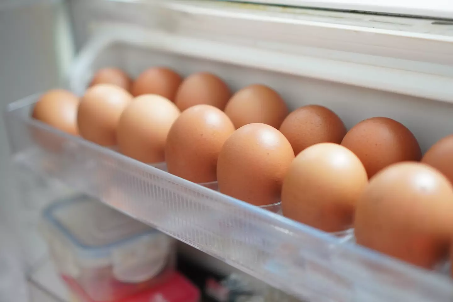 If you've got the eggs, toss them out immediately (Penpak Ngamsathain/Getty Images)