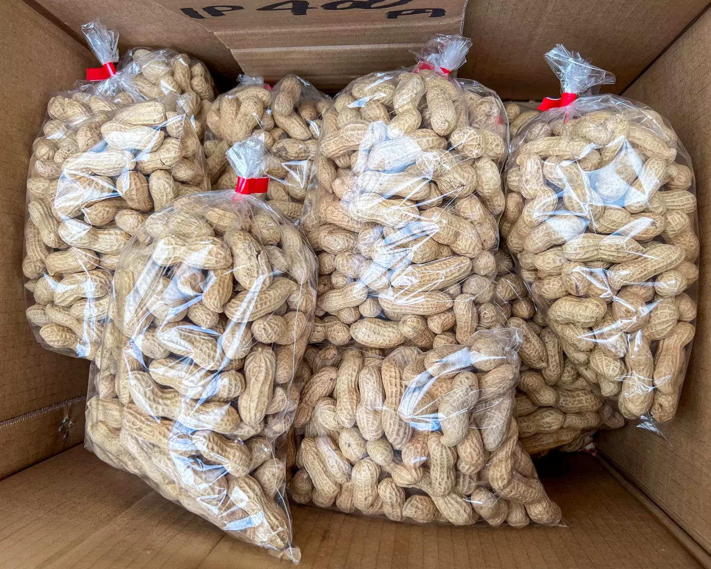 Bags of unshelled peanuts - DigiPub via Getty Images