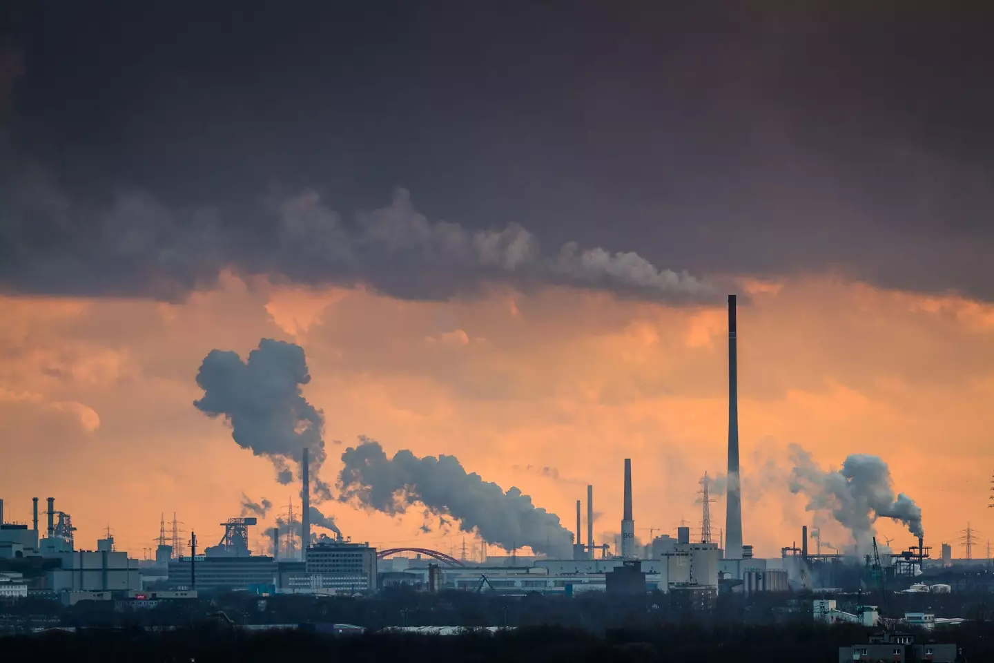 The study connected rising temperatures to sugary drinks (Hans Henning Wenk/Getty Images)