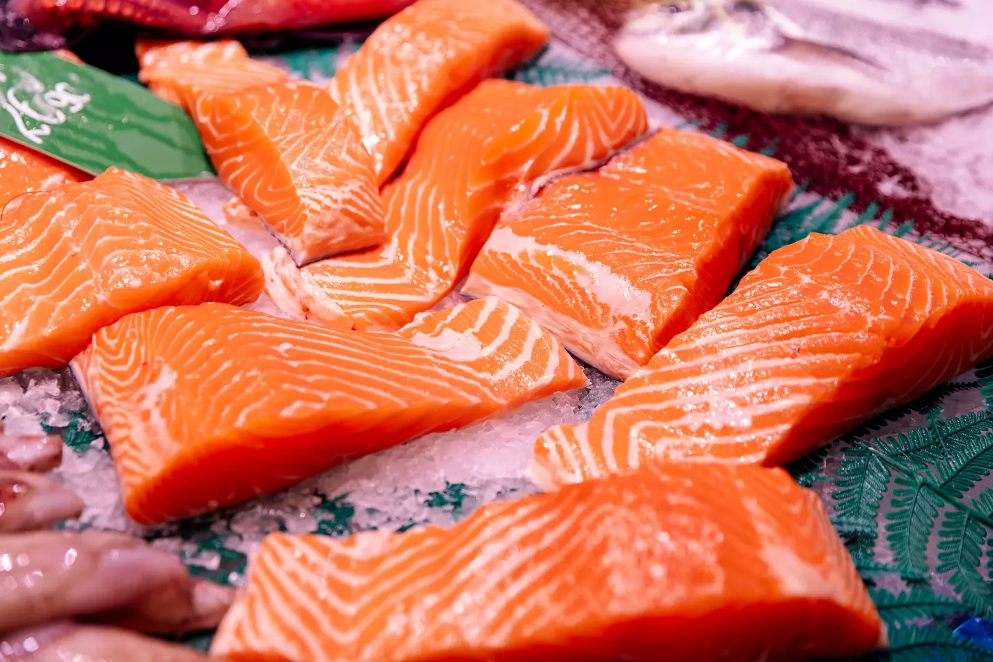 Salmon, and other fatty fish, can do wonders for your brain (Alexander Spatari/Getty Images)