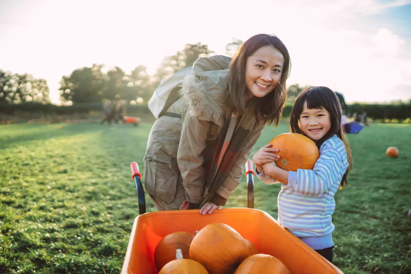 It's unclear why these guys need so many pumpkins - Images By Tang Ming Tung via Getty Images