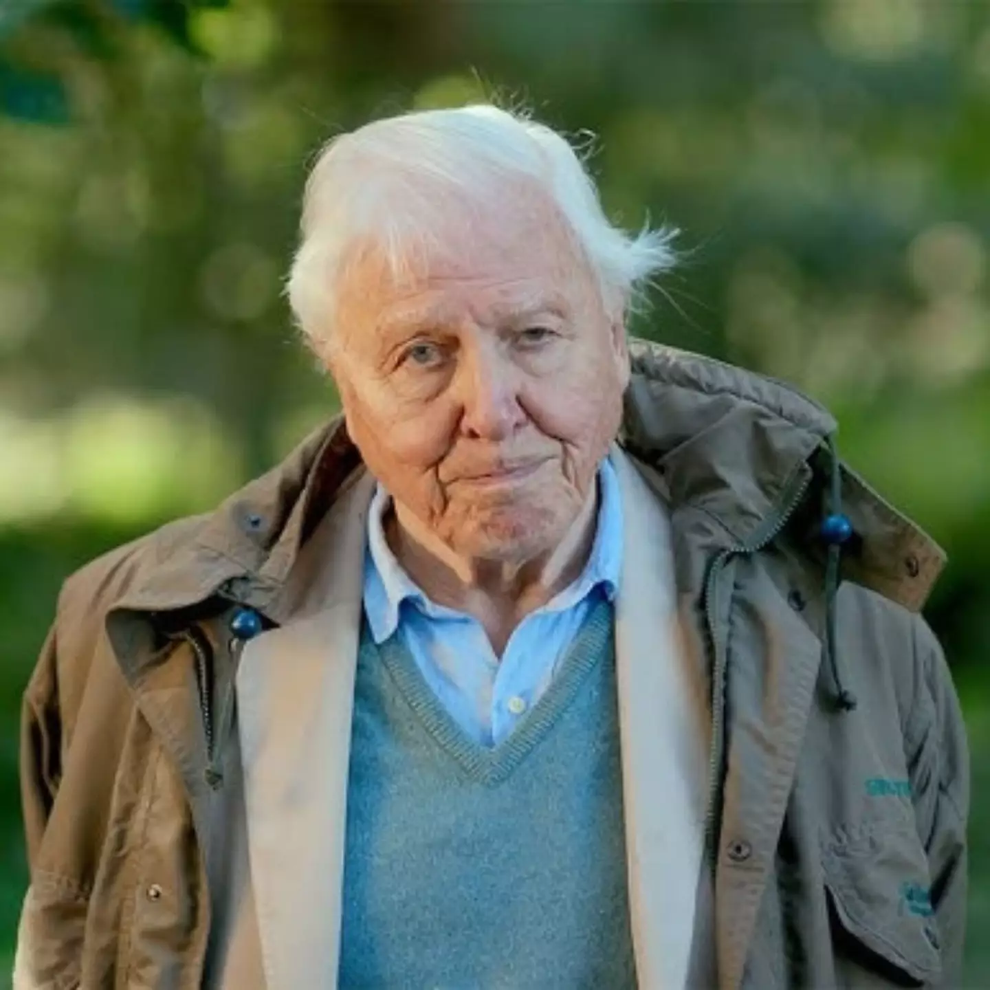 David Attenborough made a slight diet change that he credits with his long life (BBC)