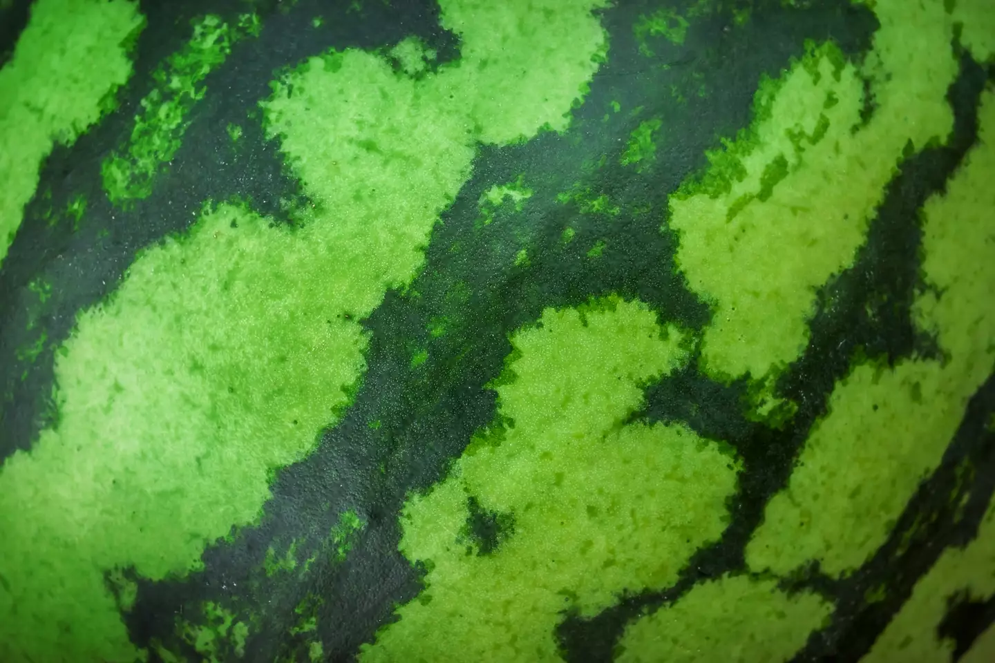 It's all about the stripes (SEAN GLADWELL/Getty Images)