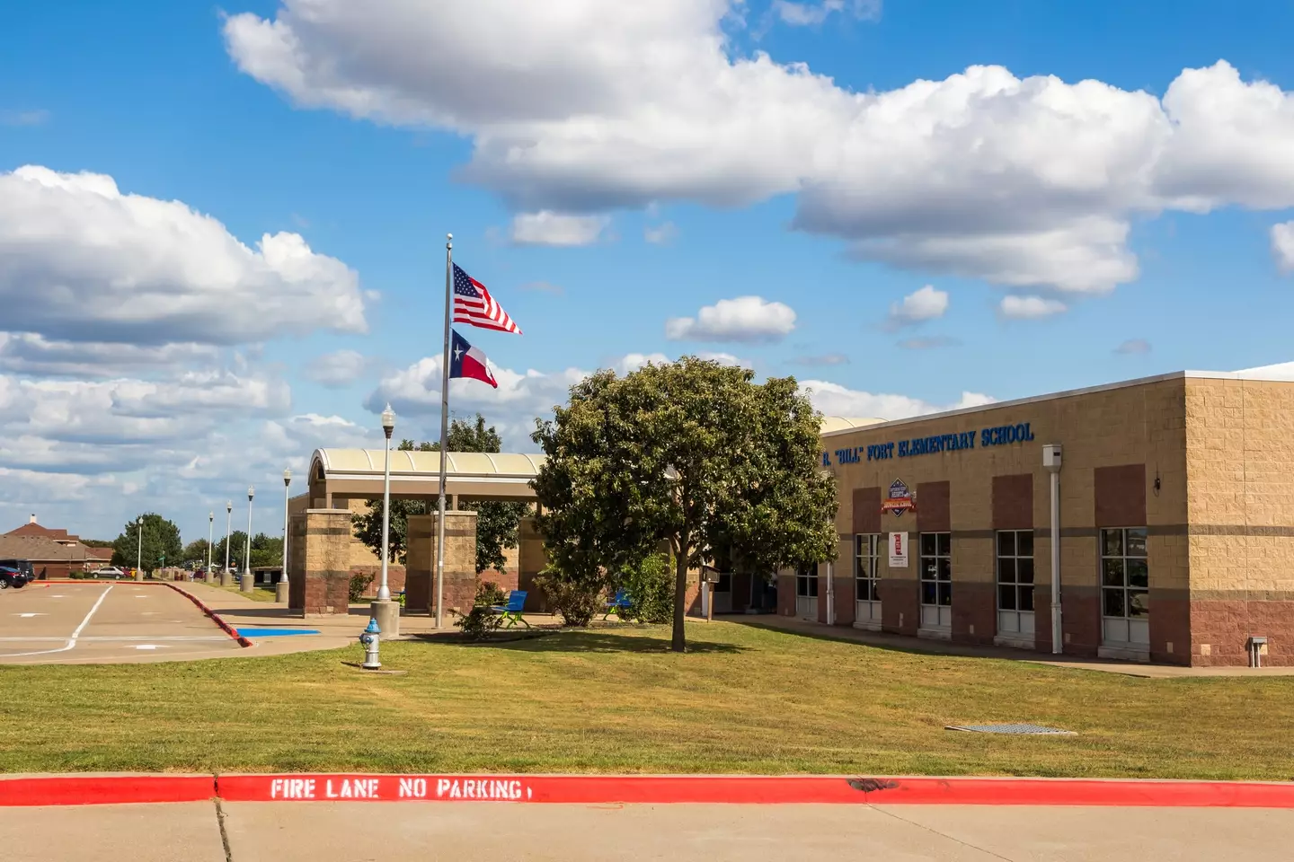 Texan public schools will be required to introduce more physical education and remove particular substances from breakfasts and lunches (Strekoza2/Getty Images)