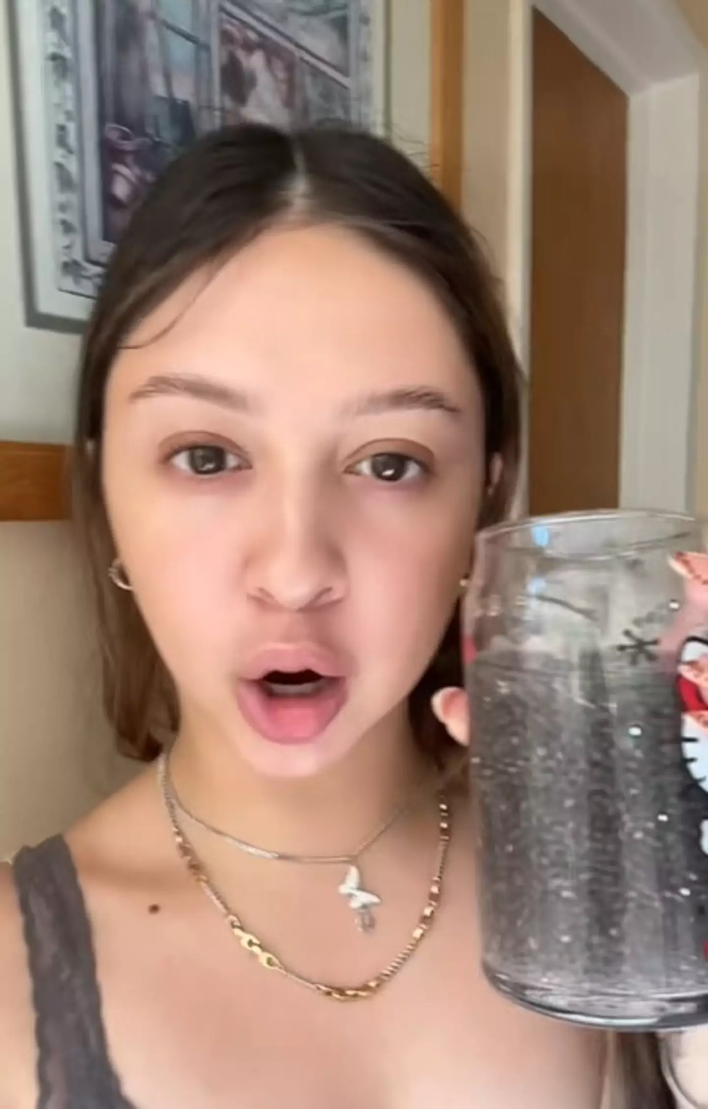 That sure is a lot of chia seeds (@this.is.not_mariah/TikTok)