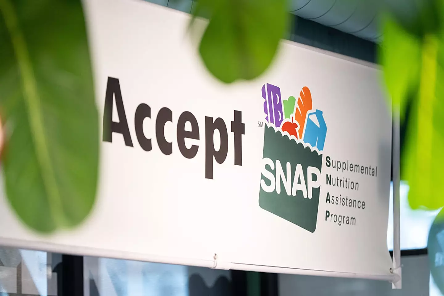 SNAP becomes the centre of a clash between federal oversight and state senators (Bloomberg/Getty Images)